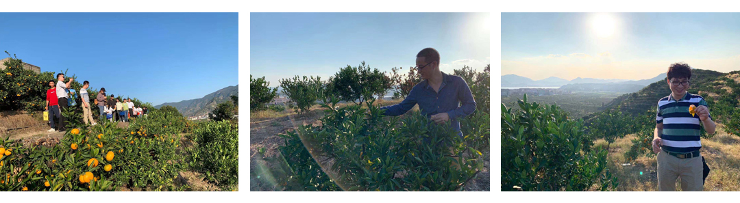 1573459561212817.jpg 0.jpg